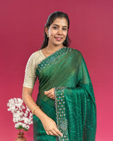 SC3822-Fendy Saree with Jarjoshi work